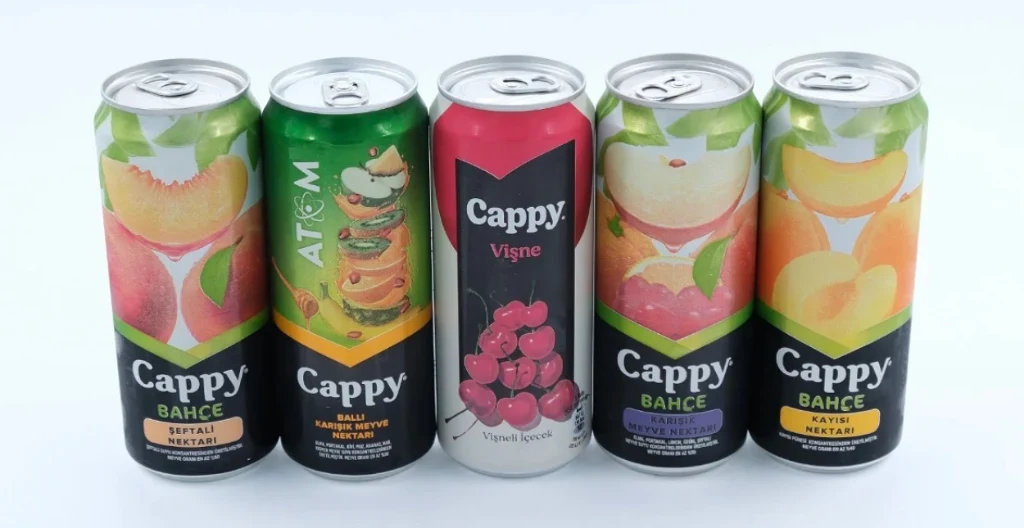 Meyve Suyu (330 ml)